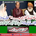 What did Mary Nawaz say about the journalist's question? All Parties Conference participants also amazed