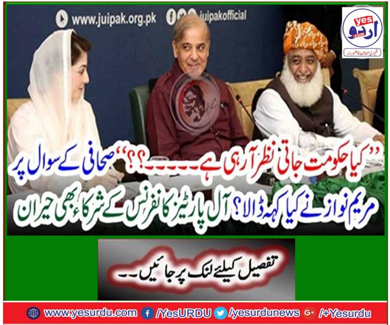 What did Mary Nawaz say about the journalist's question? All Parties Conference participants also amazed