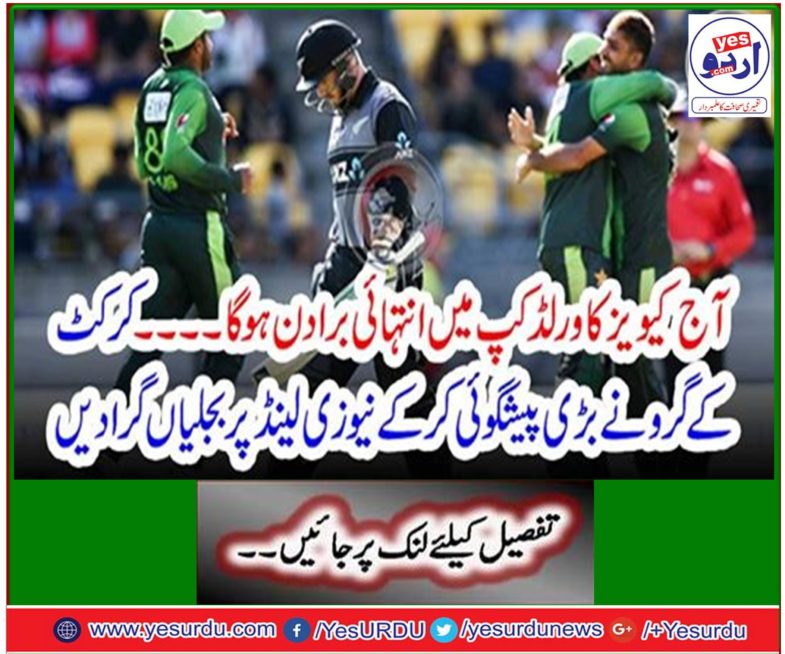 The cricket gurus dropped in New Zealand and dropped on New Zealand