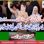 The wrath of awesome corruption ... The agencies decided to take action against Mary Nawaz