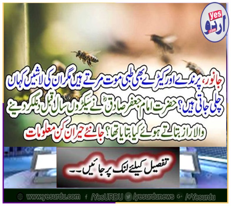 Surprise information