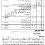 Social Welfare & Baitulmaal Department Punjab Jobs 2019 For Jr Clerk, Supervisors, Nurses & Other 