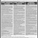 Sukkur Electric Power Company (SEPCO) Jobs 2019 For Management / Chief Finance Officer, Chief Internal Auditor & Company Secretary 