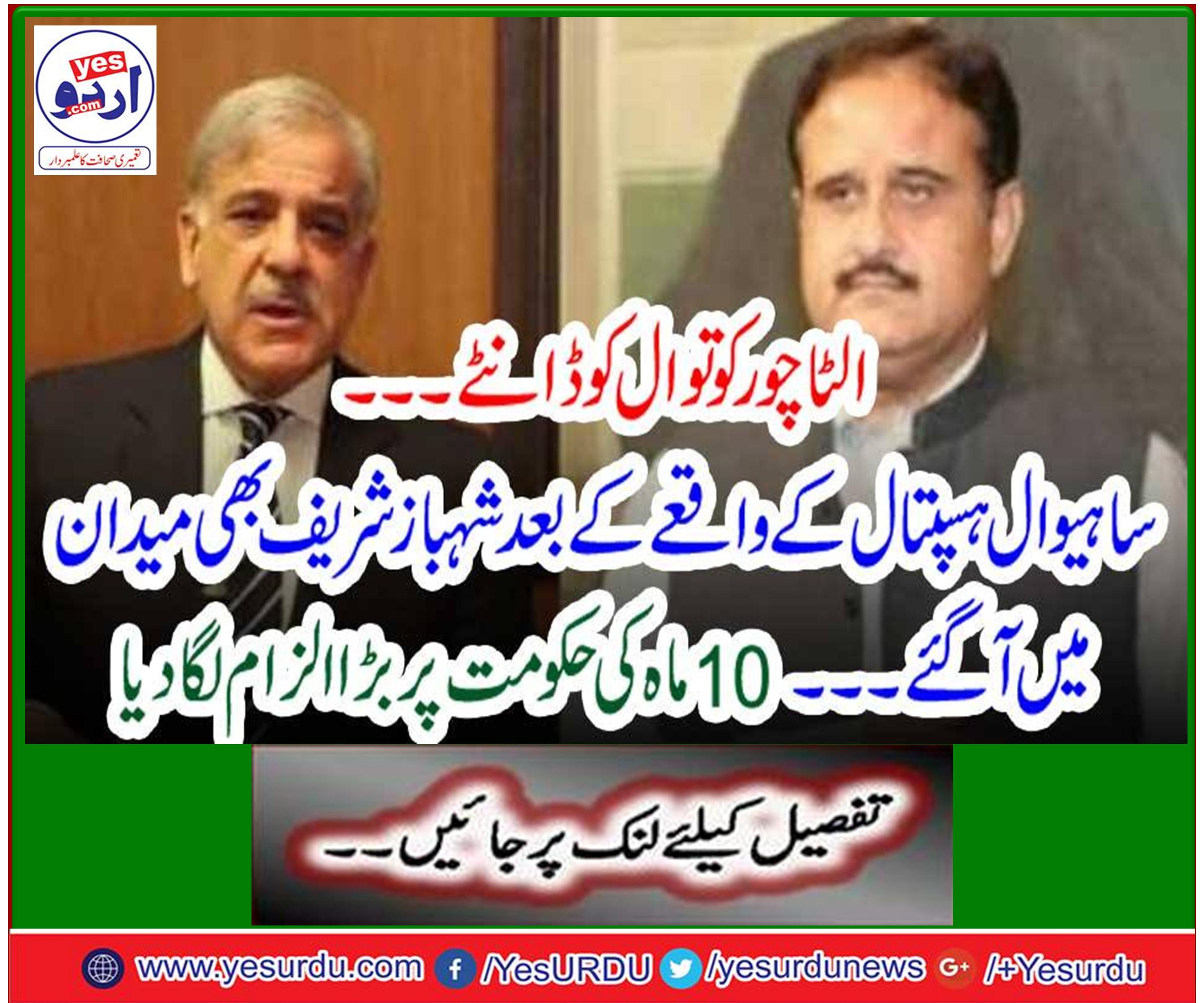 شہباز شریف بھی میدان میں آگئے