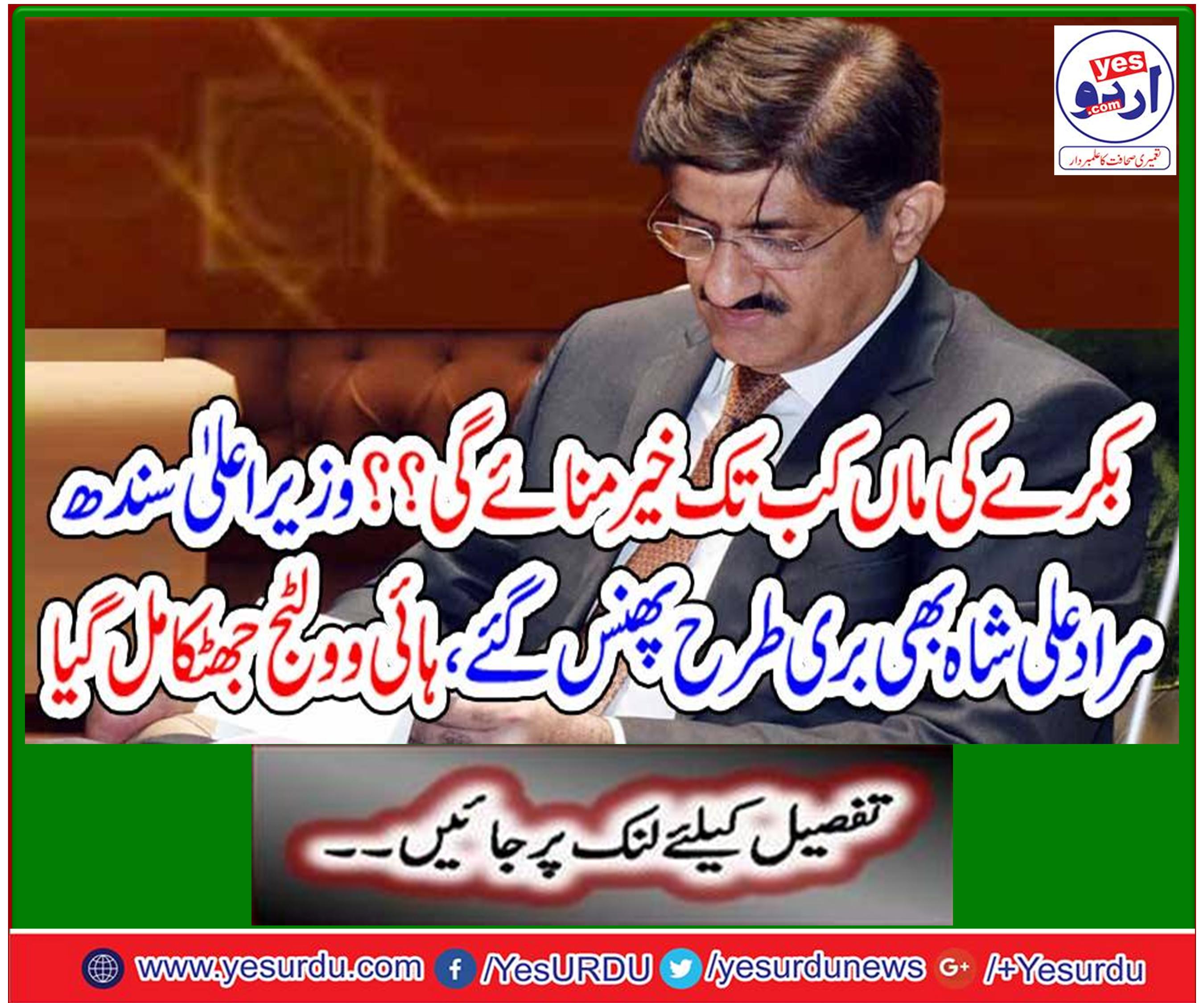 مراد علی شاہ اور قائم علی شاہ کے خلاف ٹھوس شواہد مل گئے