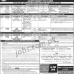 PPSC Jobs (18/2019) Latest DAE, Assistants, Jr Clerks 