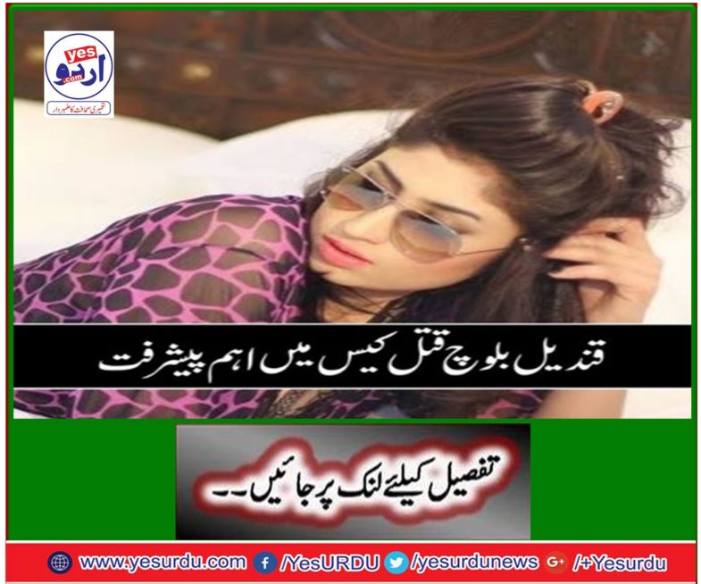 Kandil Baloch murder case, order of government lawyer