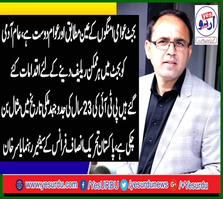 Budget is precise and public expectations public friendly steps have been made to give the public relief possible PTI's 23-year struggle has become an example in domestic history, Yasir Khan, senior leader of Pakistan Tehreek-e-Insaf, France