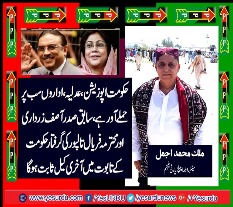 MALIK MUHAMMAD AJMAL, SENIOR, LEADER, PPP, BELGIUM