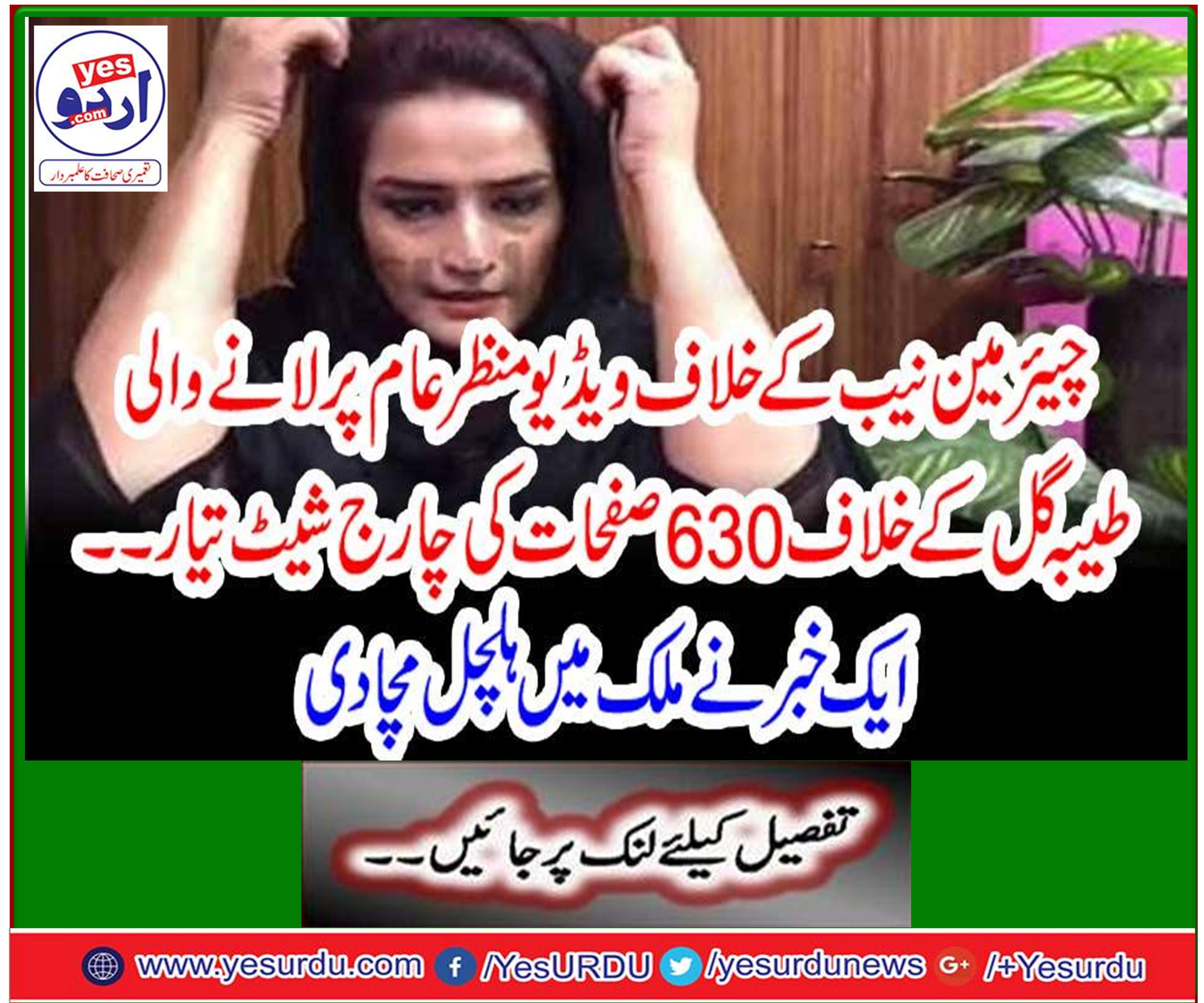 نیب پر شاطرانہ وار