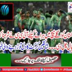 Bouncy wicket ready for fast bowlers in the match between Pakistan and Australia