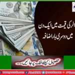 The highest level of dollar reached to Rs 156