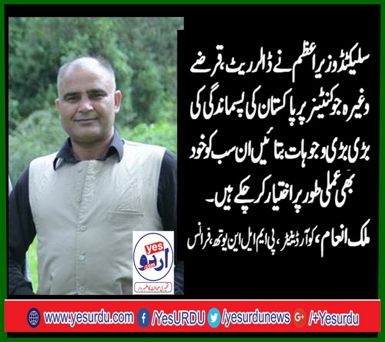 Malik Inam, Coordinator, PMLN, Youth, France