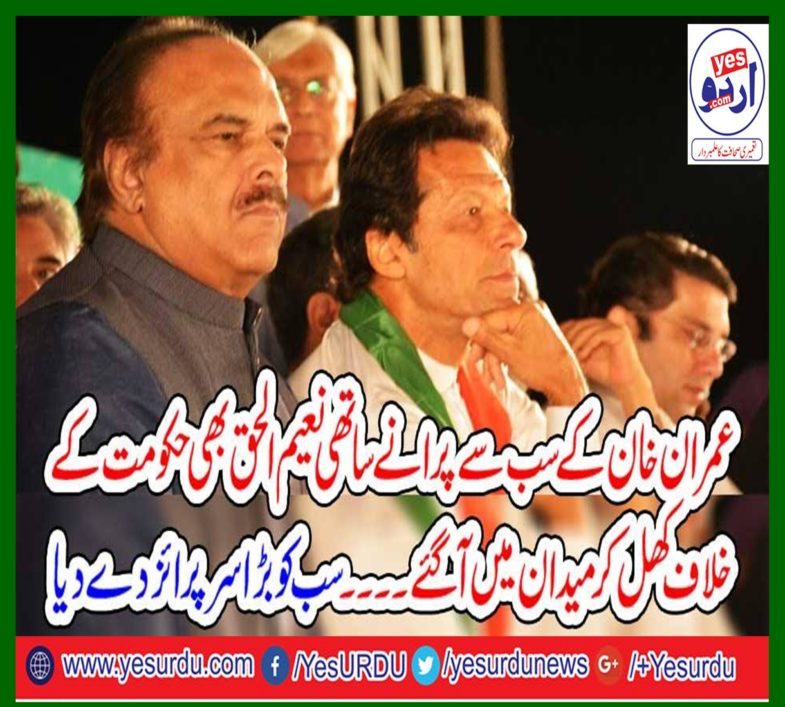 Some ministers are working together with police squads everywhere, this step should be taken immediately, Naeem ul Haq