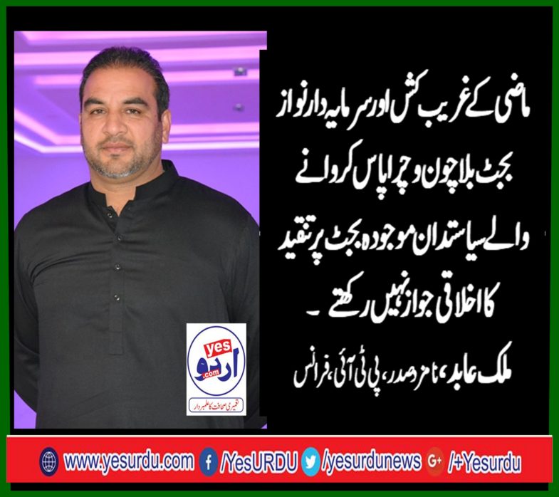 Malik Abid, nominated, as, President, PTi, France