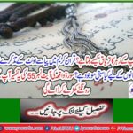 How does the snake poison antidote?