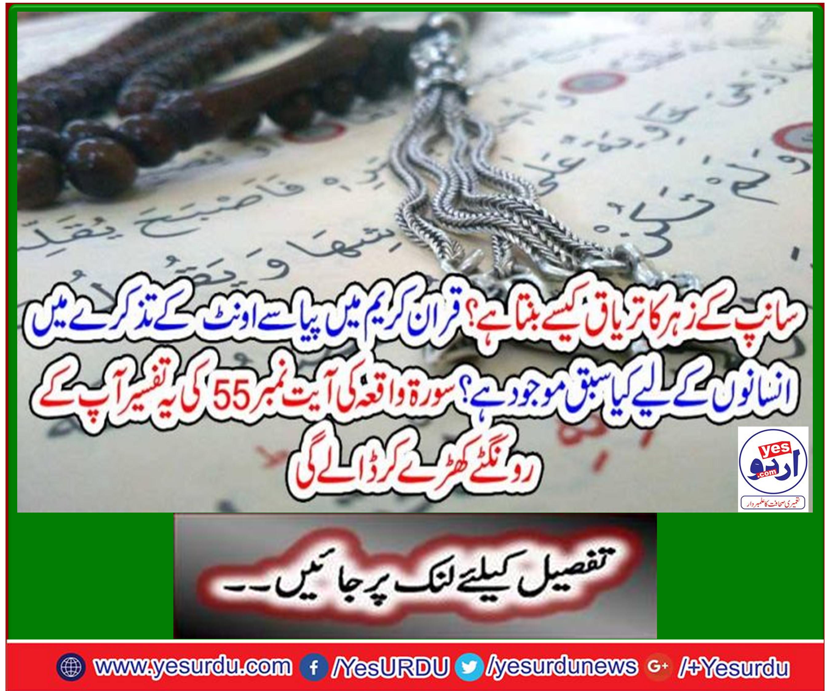 سانپ کے زہر کا تریاق کیسے بنتا ہے؟