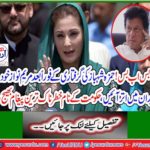 Muslim League N will be the voice of the people, do what you want, Maryam Nawaz