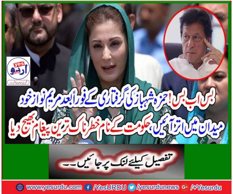 Muslim League N will be the voice of the people, do what you want, Maryam Nawaz