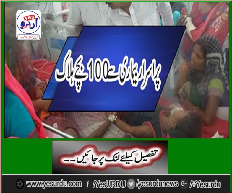 Baby 'Lunch fever' hooks from Lychi, hunting 100