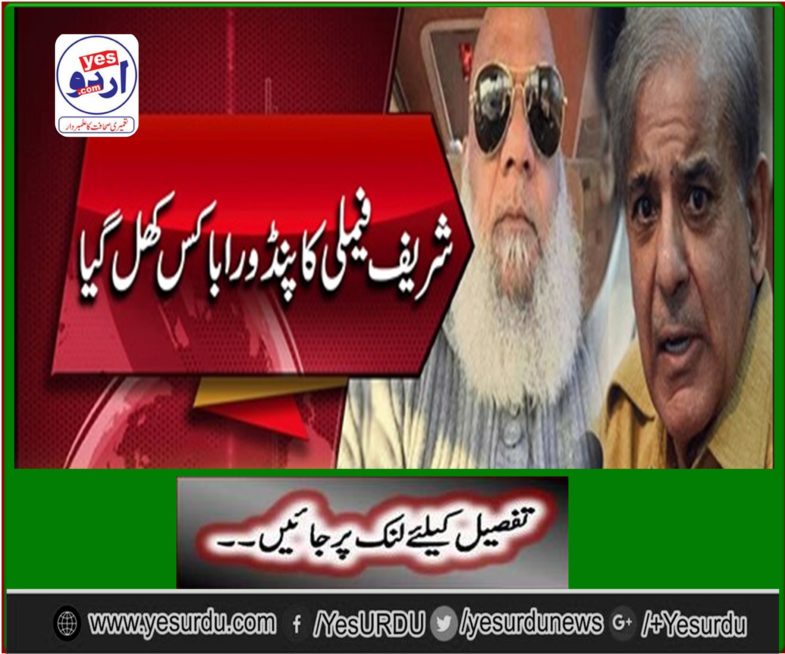 Mushtaq Chinese opened the Pandora box of Sharif family