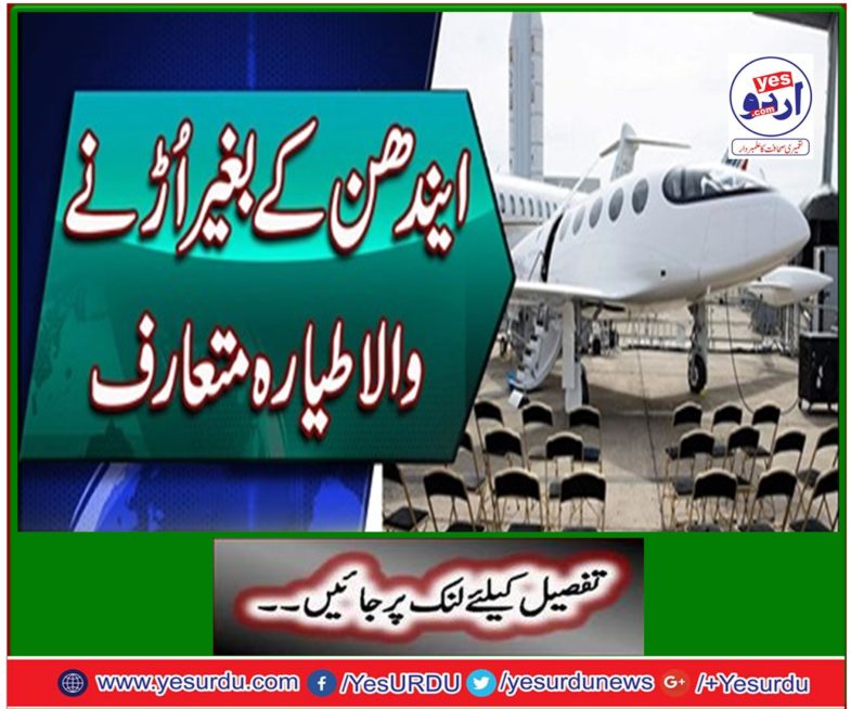 Introducing a fly-free plane