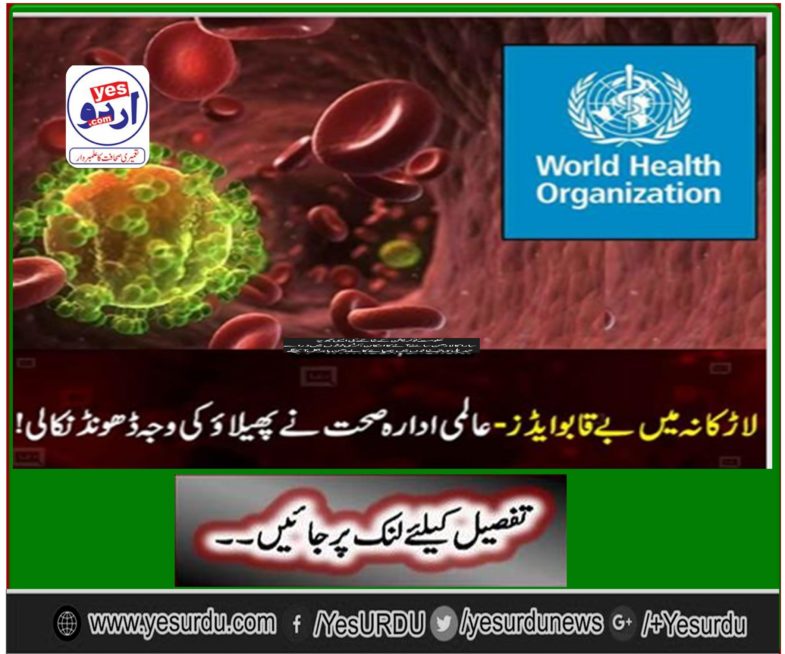 AIDS in Larkana, an individual's offense on the official system