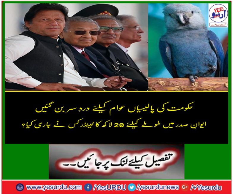 Criticized on media, leave a tender notice of $ 20 million for the cabinets at the House of Zoo