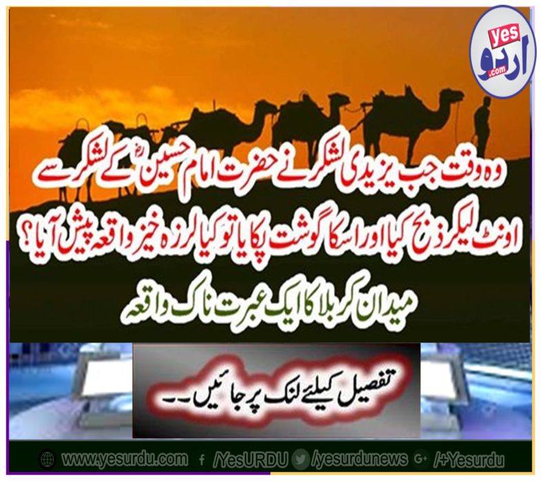 A tremendous event of field crabble