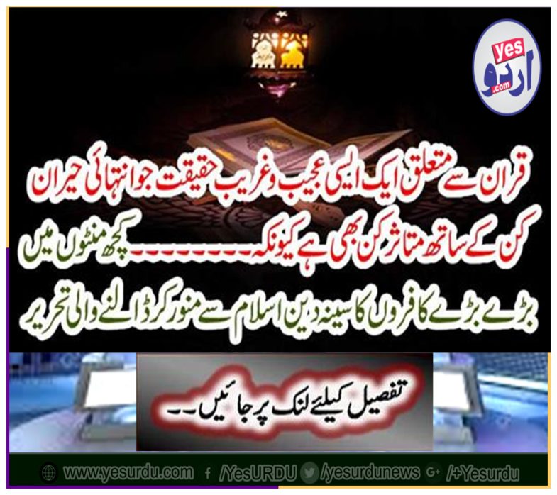 In a few minutes, the big crocodile writing of the religion of religion is Islam