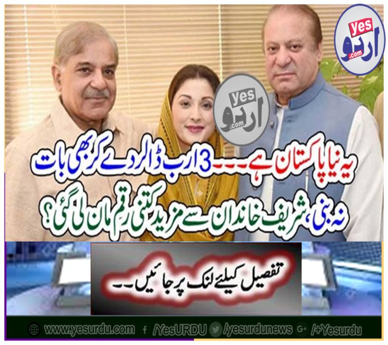 This is New Pakistan ... Do not talk about giving $ 3 billion, how much more money was taken from the Sharif family?