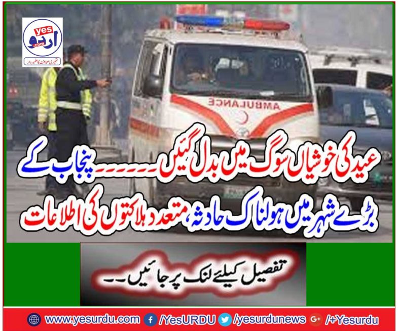 Eid's happiness turned into a swing.