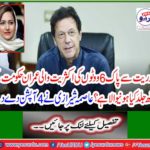 Asma Shazzi gave 4 options