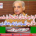 See a living political comment