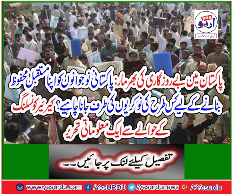 An informative writing regarding career counseling