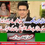 Jinned Salim told Mary Nawaz that the entire country began to support senior anchor purse