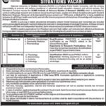 NUMS University Jobs 2019 For Demonstrator & Teaching Faculty 