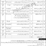 National Archives Of Pakistan Jobs 2019 For 14+ Staff Posts (Download CTSP Form)