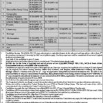 Chenab Colleges Jobs 2019 for 62+ Teachers in Multiple Campuses (Download CTSPAK Form)
