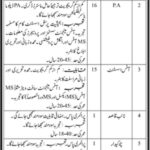 University of Karachi Jobs 2019 for Junior Admin Officer, PA, Office Assistant & Support Staff