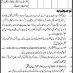 Colleges Directorate Mirpurkhas Jobs 2019 for Jr Clerk and Computer Operator