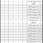 Criminal Prosecution Services Department Sindh Jobs 2019 192+ Dispatch Riders, Drivers & Support Staff (Walk-in Interviews)