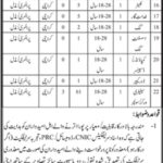 College Education Department Sindh (Karachi) Jobs 2019 For 521+ Posts