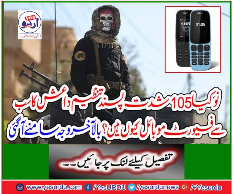 Why are the Nokia 105's most popular mobile phones? The reason finally came