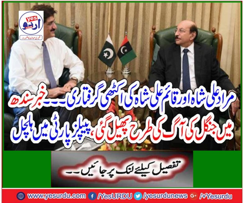 The arrest of Murad Ali Shah and Qaim Ali Shah ..
