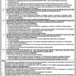 Energy Department Punjab Jobs 2019 for 5+ Accounts Officer, Assistant/Deputy and Project Directors