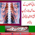 Some interesting facts about human ribs that rarely know