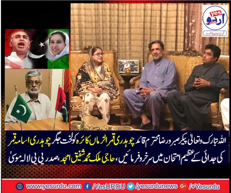 malik shafique amjad, PRESIDENT, PPP, LALAMUSA