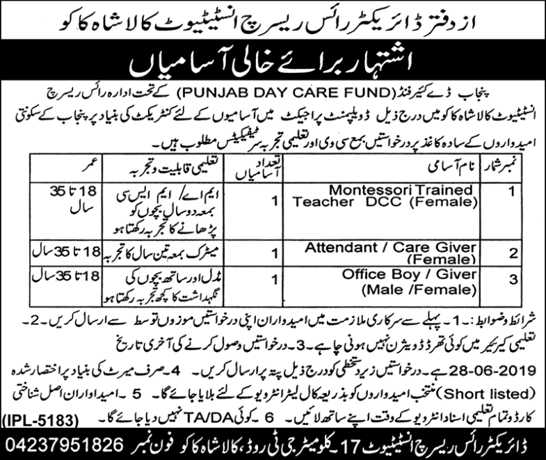 Rice Research Institute Punjab Jobs 2019 for Teacher and Support Staff
