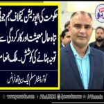 MALIK INAM, COORDINATOR, PMLN, YOUTH, WING, FRANCE, SAYS, GOVT, CAMPAIGN, AGAINST, OPPOSITION, IS, PART, OF, CONTROVERSY, TO, AVOID, DESTROYED, ECONOMY
